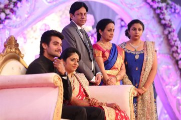 Hero Aadi Wedding Reception Photos
